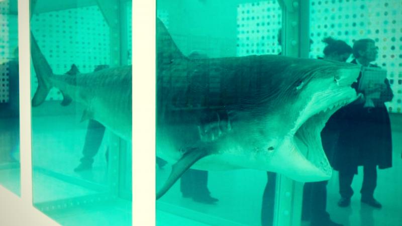 Most Expensive Thing In The World